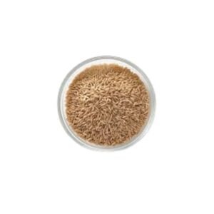 Moongil Rice, also known as Bamboo Rice, is a rare and nutritious grain collected from matured bamboo shoots. Naturally rich in fiber, minerals, and antioxidants, this rice is perfect for wholesome meals and traditional recipes.